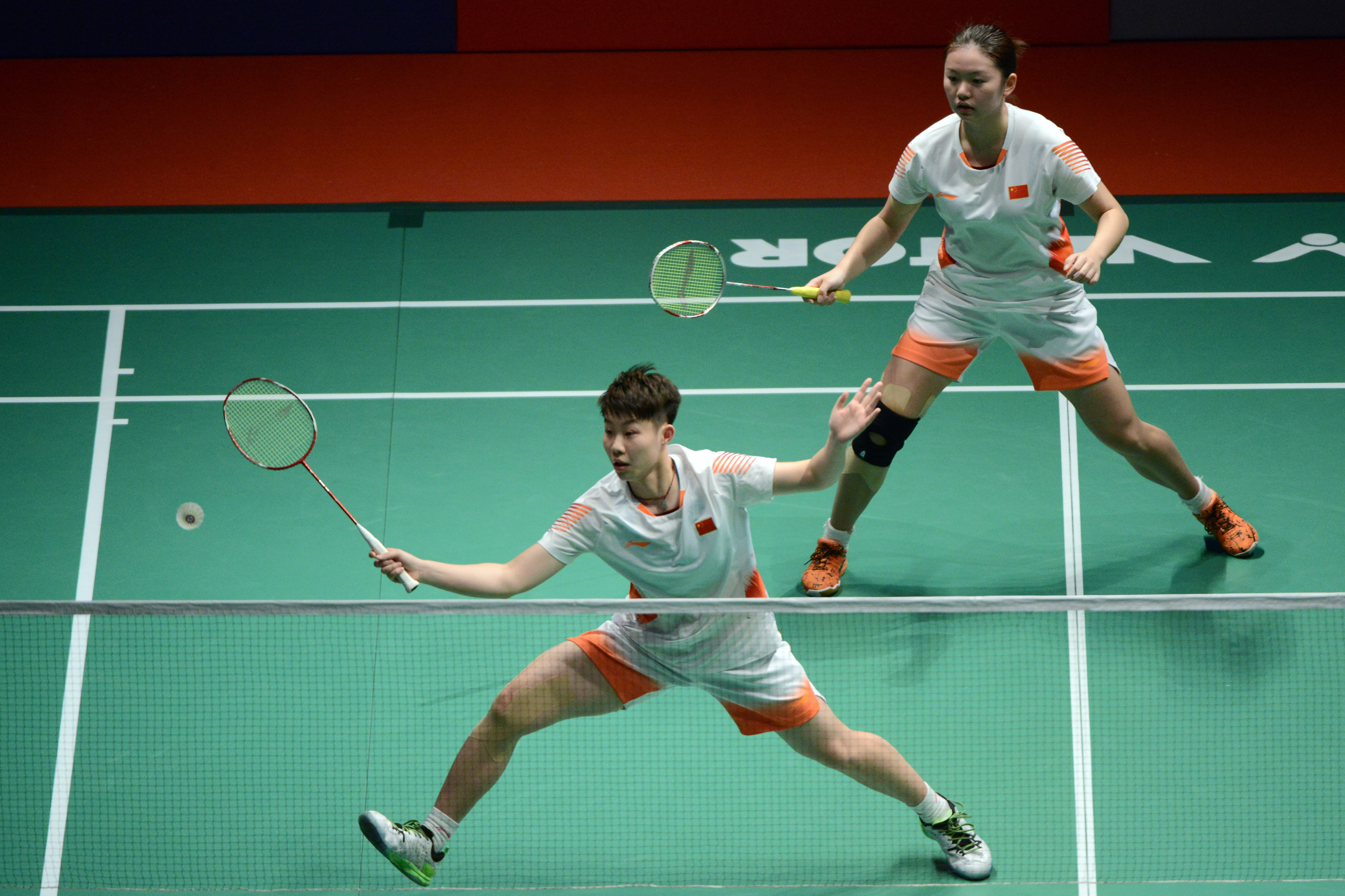 汰赛基因 汰赛基因