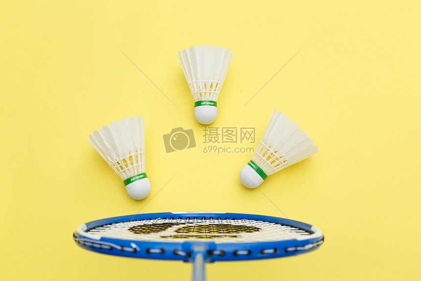 析雷恩队的 析雷恩队的